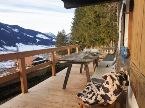 Gemütliche Berghütte, Panoramablick Niederau